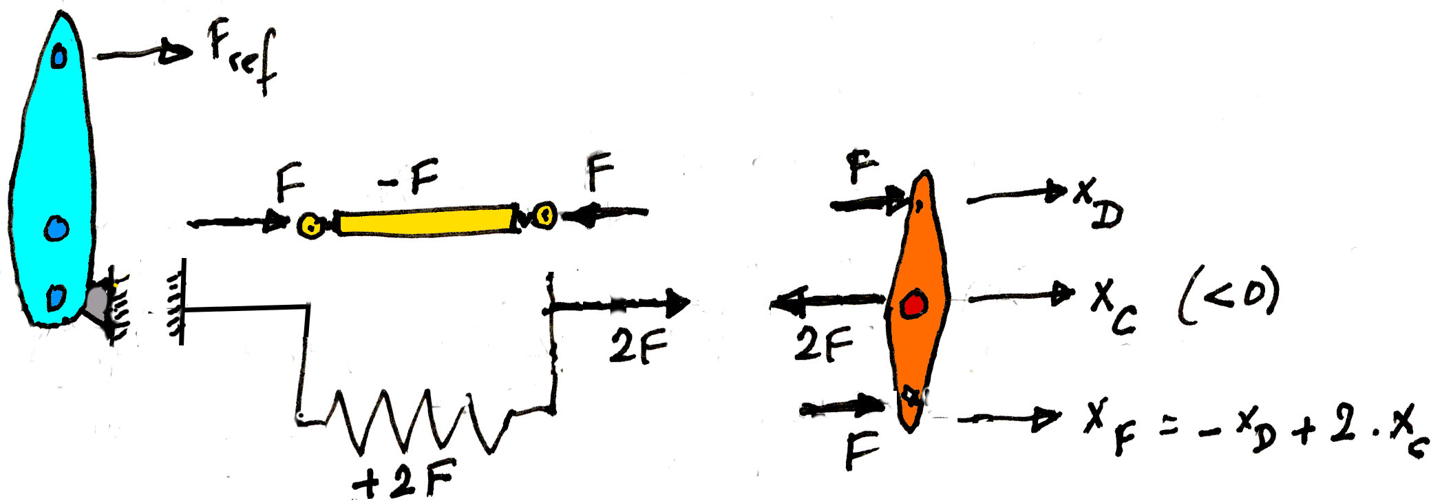 Support points free body